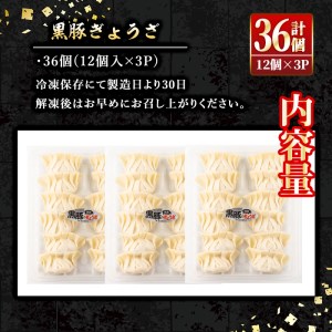 isa266 100年以上続く精肉店の黒豚餃子(計36個・12個入×3P)惣菜 鹿児島 手作り 生餃子 ギョウザ 黒豚 豚肉 冷凍食品 おかず おつまみ 惣菜 小分け 焼くだけ 簡単調理 冷凍便【増元精肉店】