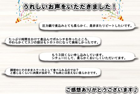 北海道産 黒毛和牛 こぶ黒 A5 煮込み ビーフシチュー 用 800g