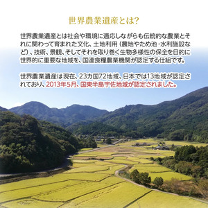 【在庫限り】令和7年産米 食味値80点以上/国東産「つや姫」10kg（5kg×2袋 ）_1673R-2