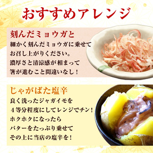 塩辛 無添加 昭和の塩辛 100g瓶×3本 セット 珍味 詰め合わせ 海産物 海鮮 魚介類 魚介 青森 いか イカ いか塩辛 ごはんのお供 ご飯のお供 おつまみ おつまみセット 加工食品 ※ご入金確認後 3ヶ月以内の発送になります。 青森県鰺ヶ沢町 