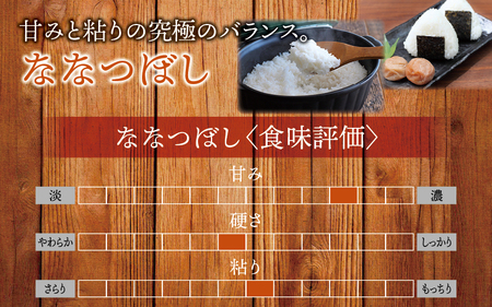 【令和7年産】玄米 ななつぼし 30kg (30キロ) 【kja400-nana-g30-R7】