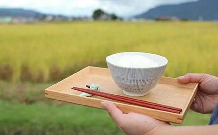 【令和7年産】【定期便】南魚沼産塩沢コシヒカリ【従来品種】（特別栽培米８割減農薬）精米５ｋｇ×全３回