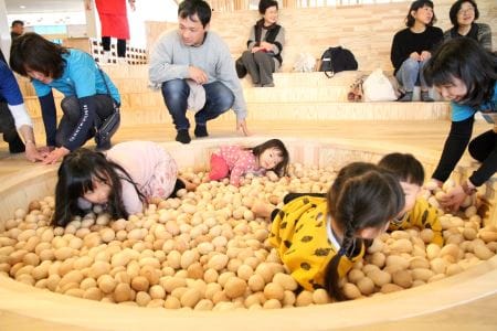(1238)ゾウさん積み木と長門おもちゃ美術館ペアチケット1枚