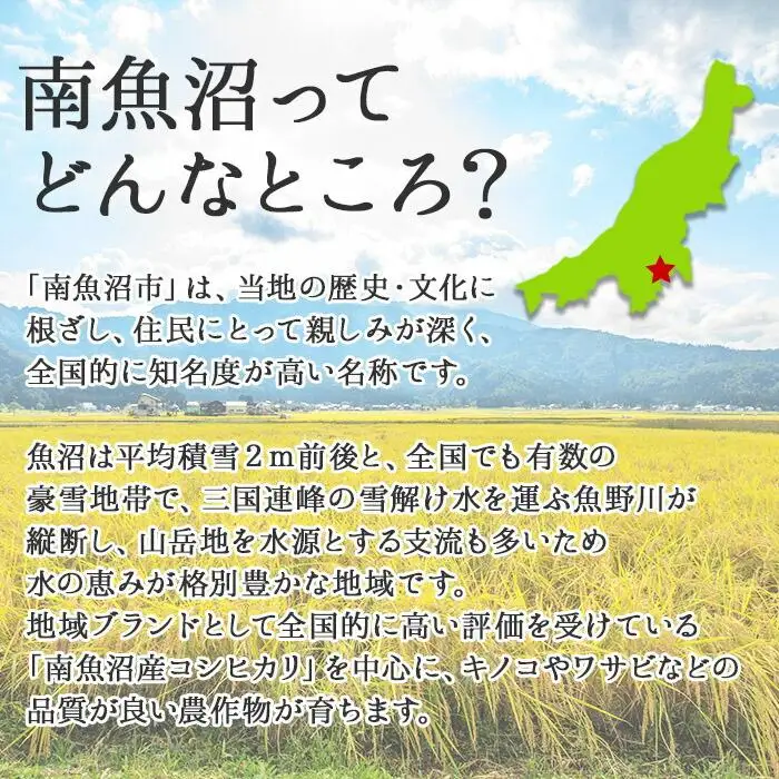 新潟県 南魚沼産 厳選 国産 石坂 高級 舞茸 産地直送 1kg