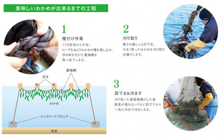 「ちょい足し」で美味しい！ 十三浜海藻セット 乾燥カットわかめ とろろ昆布 ふのり 焼き干しばら海苔