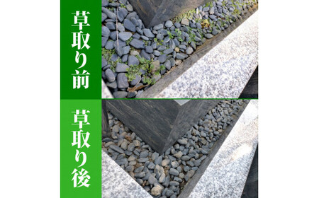お墓参り代行／仏花・写真報告付