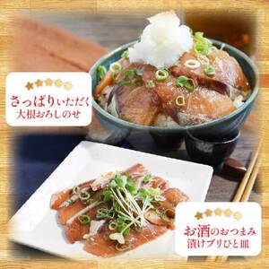 高知の海鮮丼の素「ブリの漬け丼の素」1食80ｇ×5P 〈高知市共通返礼品〉