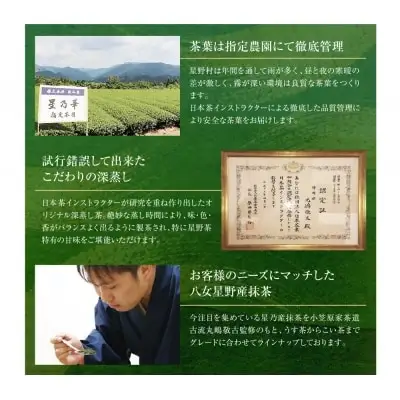 Y26-03 八女星野 玉露ティーバッグ(100U) 玉露