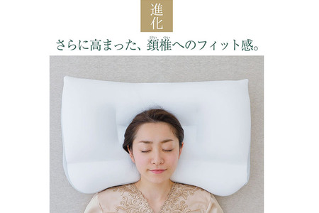 王様の夢 枕 2 低め タイプ 頚椎 首 支える 王様シリーズ 安眠枕 快眠枕 洗える 枕カバー 王様の夢枕 肩 サポート ストレートネック 日本製 誕生日 ギフト プレゼント まくらカバー 王様 寝姿勢 横向き 仰向け 男性 女性 おすすめ ピロー まくら 低い 高さ