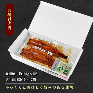 【鹿児島県産】鰻 の 蒲焼 無頭背開き 約165g×2尾 山中水産 IB022-001 うなぎ