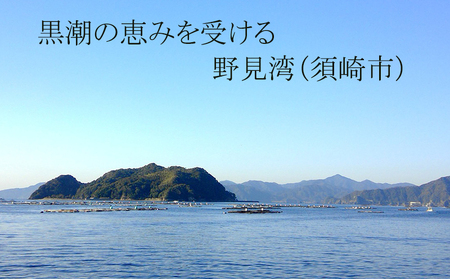 【 漬け丼 】 漬け丼鯛