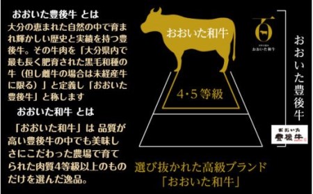 【A4～A5等級】おおいた和牛・贅沢・焼肉セット_1854R