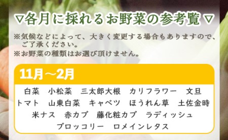 高知県香南市産 旬のお野菜詰合せ(10～13品目)  - やさい 10～13種類 セット 詰め合わせ 季節の野菜 新鮮 料理 サラダ アレンジ おたのしみ お楽しみ おまかせ お任せ フレッシュ 国産 プライム株式会社 高知県 香南市 pr-0007