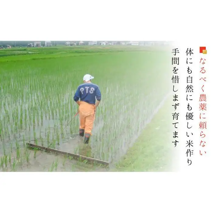南魚沼産コシヒカリ　白米５ｋｇ【５割減農薬栽培米】 城内農産 令和７年【銘柄米 ブランド米 精米 こしひかり コシヒカリ 魚沼産 新潟米 産地直送 お米 米 こめ コメ ご飯 御飯 ごはん】
