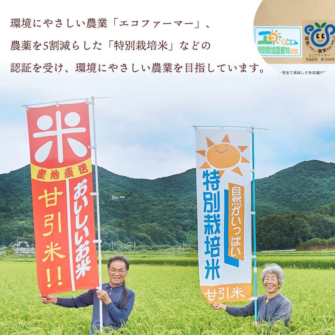 令和7年産 桜川市の 厳選 甘引米 コシヒカリ 食べ比べセット（玄米・精米） 特別栽培米 コシヒカリ こしひかり 玄米 精米 米 こめ コメ 有機肥料 桜川市産 茨城県 いばらき [BA002sa]
