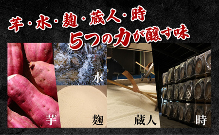 《毎月数量限定》寿海酒造 本格焼酎6種6本飲み比べセット ( ひむか寿 900ml×1本、いも美 900ml×1本、麦作鬼ころし 900ml×1本、宮崎限定くしま 900ml×1本、宮崎限定海花 720ml×1本)_K050-013