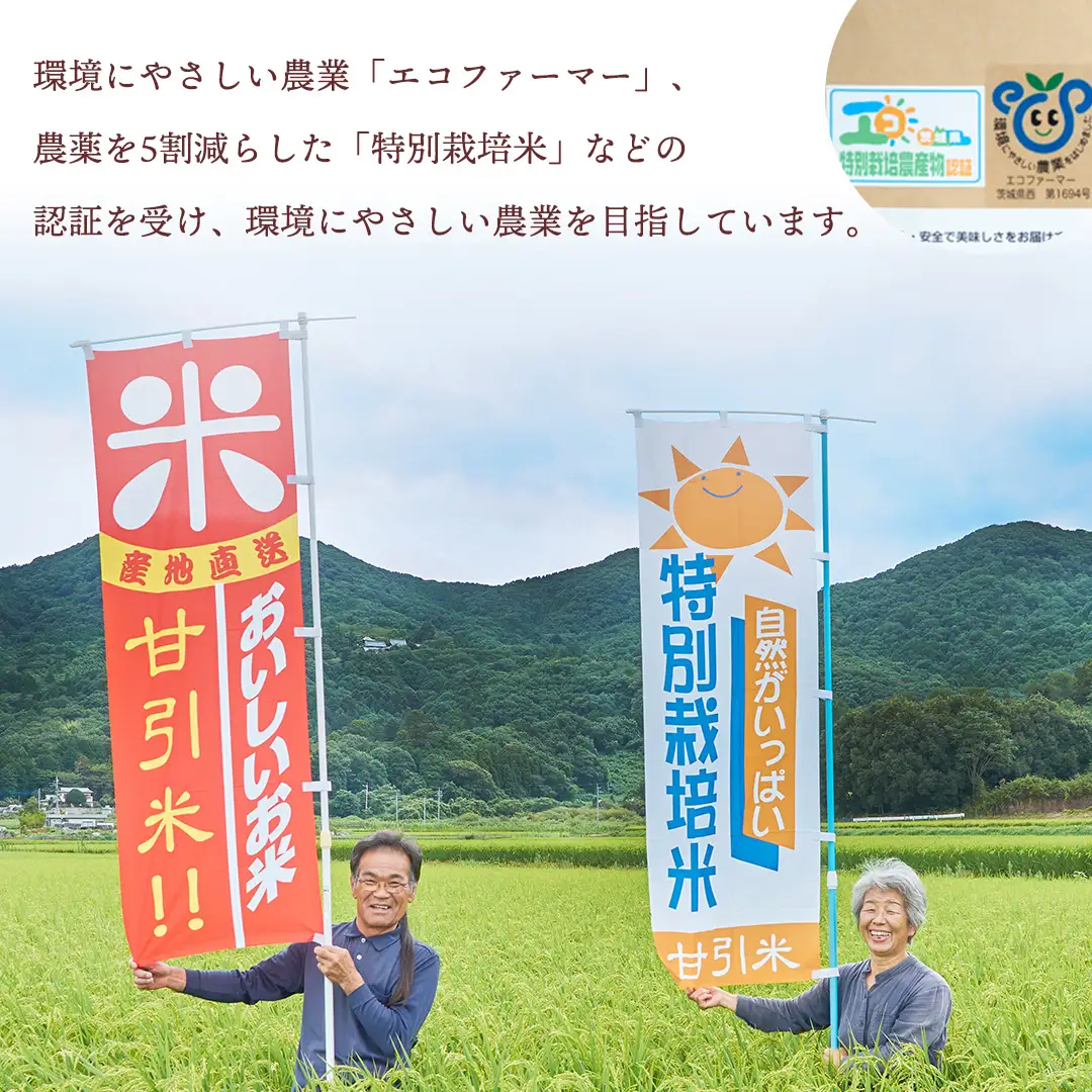 令和7年産 桜川市の 厳選 甘引米 コシヒカリ 玄米 5kg 特別栽培米 コシヒカリ こしひかり 玄米 米 こめ コメ 有機肥料 桜川市産 茨城県 いばらき [BA003sa]