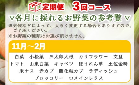 定期便3回コース 高知県香南市産 旬のお野菜詰合せ(10～13品目)【季節野菜 新鮮 定期便 旬野菜  定期便 産地直送やさい 朝採れ野菜 野菜定期便】 Wpr-0008