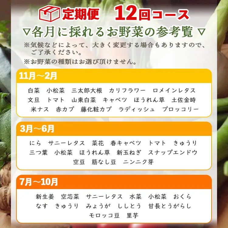 野菜 定期便【全12回】（10〜13種） 野菜 セット Wpr-0010