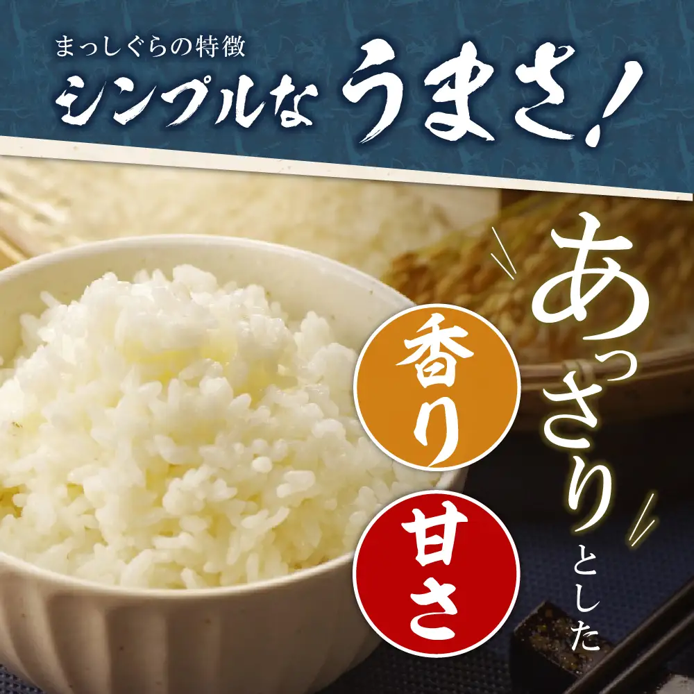 【定期便 6ヶ月】 米 5kg まっしぐら 青森県産 (精米) 定期便6回 5kg×6回