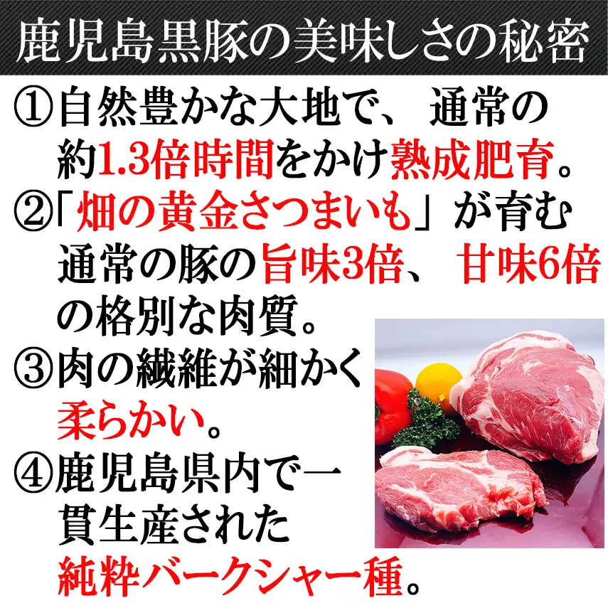 【25-31】鹿児島黒豚100%手作りハンバーグ 110g×3個（冷凍）スエヒロ家