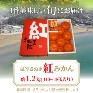 温室さぬき紅みかん約1.2kg