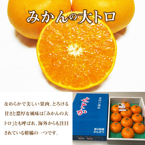 とろける食感 「せとか」 約3kg化粧箱入り