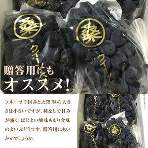 クイーンベリーA 約2kg