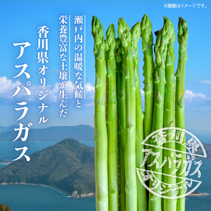 アスパラガス「さぬきのめざめ」約1.5kg(夏芽)