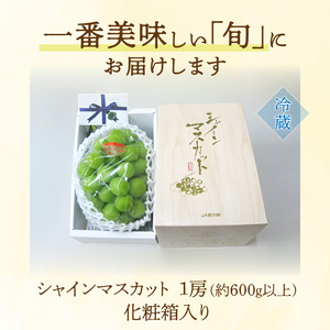 特大シャインマスカット 1房(約600g以上)化粧箱入り
