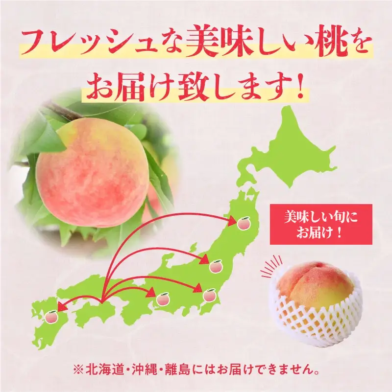 【期間限定】みとよの桃 (小玉) 約2.8kg