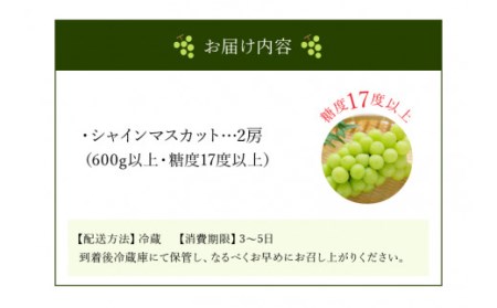 【9月上旬より発送】シャインマスカット2房【600g以上】【糖度17度以上】