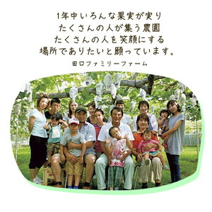 【田口ファミリーファーム】ぶどうミックス(瀬戸ジャイアンツ入り)4~8房(約3kg~4kg) N053-YZD0141