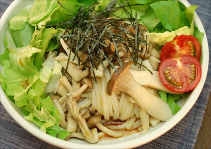 純生！【冷うどんが旨い】本場さぬきうどんめん一のひやひや(8人前)【L-16】