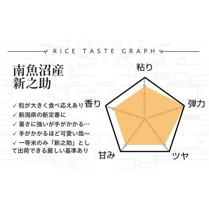 【令和8年産新米予約】精米5kg 南魚沼産新之助・農家直送_AG【銘柄米 ブランド米 精米 新之助 魚沼産 新潟米 産地直送 お米 米 こめ コメ ご飯 御飯 ごはん】【令和8年10月中旬から1ヶ月以内に順次発送予定】