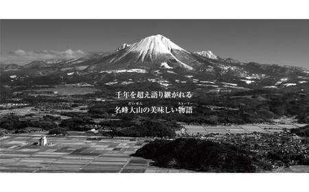 ＜大山物語＞　氷温®熟成 鳥取和牛×大山豚手造りハンバーグ 120g×6