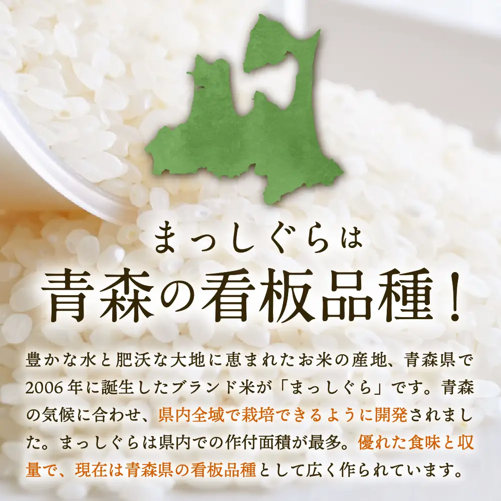 青森県産 無洗米 10㎏ まっしぐら （精米）乾式無洗米