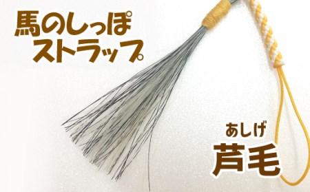 蹄鉄 （ 鉄製 ゴールド ）& 馬のしっぽの毛 ストラップ （ 芦毛 ） 【馬っこパーク・いわて】／ てい鉄 さび止め 錆止め サビ止め 金 金色 鉄 加工 馬毛 尻尾 幸運 開運 厄除け 魔除け アイテム 本物 インテリア アクセサリー おすすめ