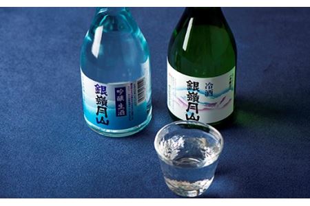 FYN9-303 山形の地酒【銀嶺月山】冷酒飲みくらべセット各300ml×6本 山形県 西川町