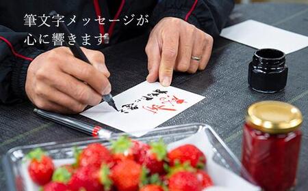 【2027年1月～4月出荷分予約販売】★たっぷり！2倍の量★武下さんちの「完熟あまおう」3Lサイズ 900g入り