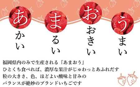 【2026年1月～4月出荷分予約販売】★開けてびっくり★驚きのボリューム完熟あまおう大玉詰め合わせ1200g