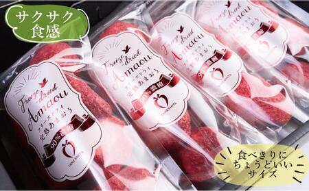 形も味もそのまま楽しめる！完熟あまおう【フリーズドライギフトセット】 (12g×16袋)