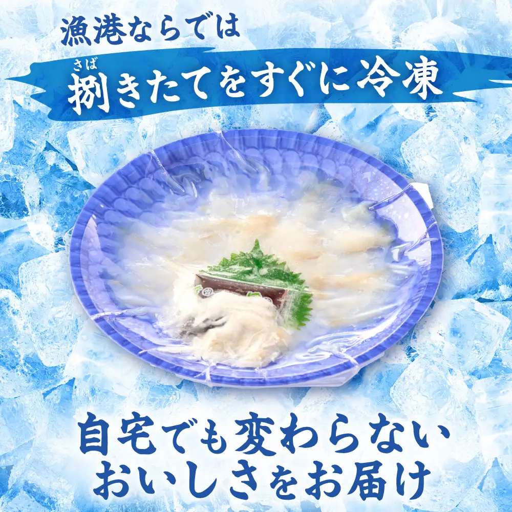 漁師お勧め！天然 とらふぐ てっさ（お刺身セット）2～3人前【宗像漁協】_HA0467