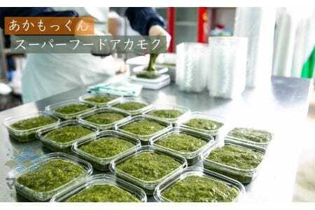 【定期便／年6回／偶数月にお届け】宗像のアカモク「あかもっくん」1040g(80g×13個）【マサエイ水産加工】_HB0047