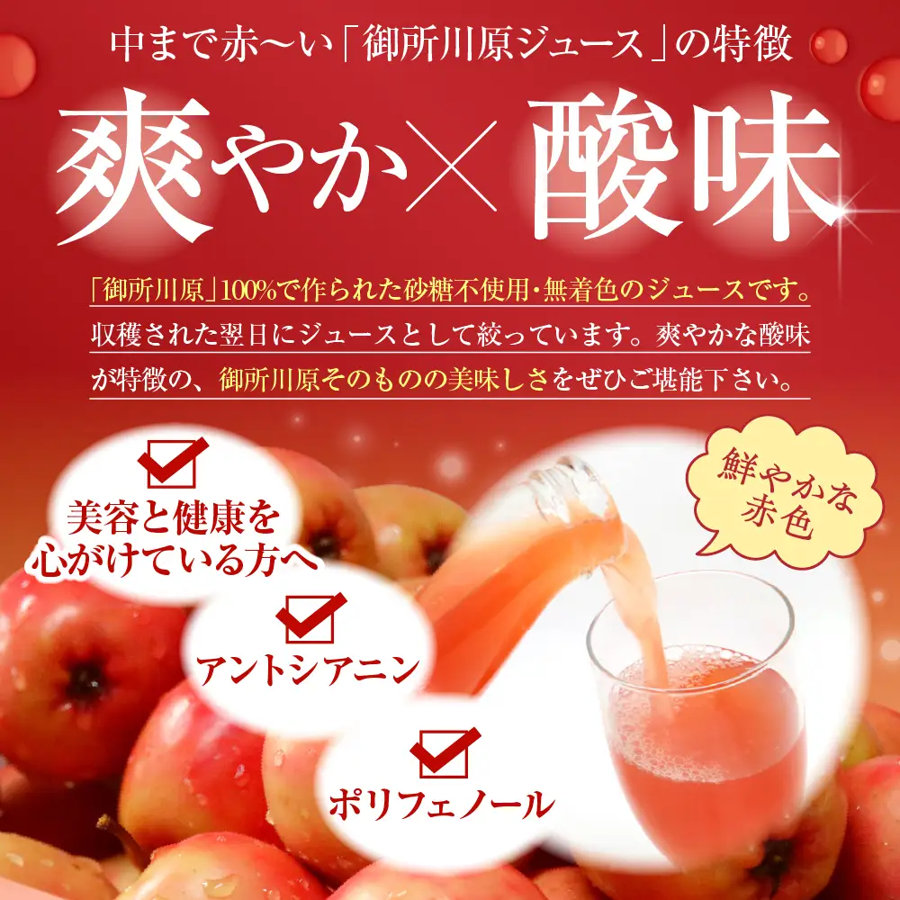 りんごジュース　中まで赤～いりんごジュース180ml×6本