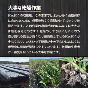 にんにく　特選品 Lサイズ 1kg 青森県産 五所川原市 ガーリック ホワイト6片種