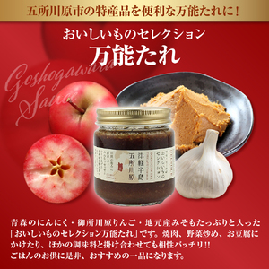 中まで赤～いりんご「御所川原」セレクト