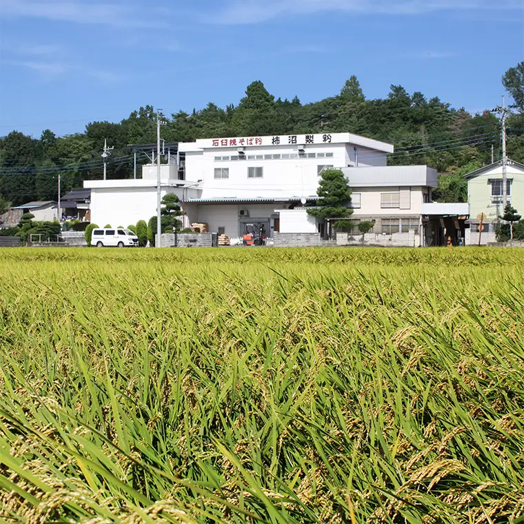 【石臼挽そば粉】 常陸秋そば打ちセット そば 蕎麦 ソバ そば粉 セット 常陸秋そば [BI004sa]