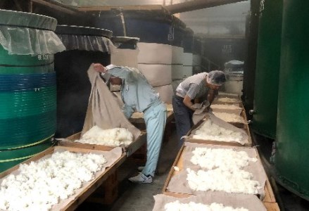 奥飛騨 特別本醸造生貯蔵酒300ml×5本セット【16-17】 