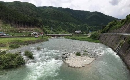 【令和8年】益田川雑魚年券 1枚 【35-2】